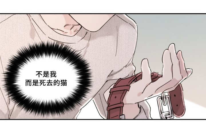 【猫的项圈[耽美]】漫画-（第30章：我能走了吗）章节漫画下拉式图片-12.jpg