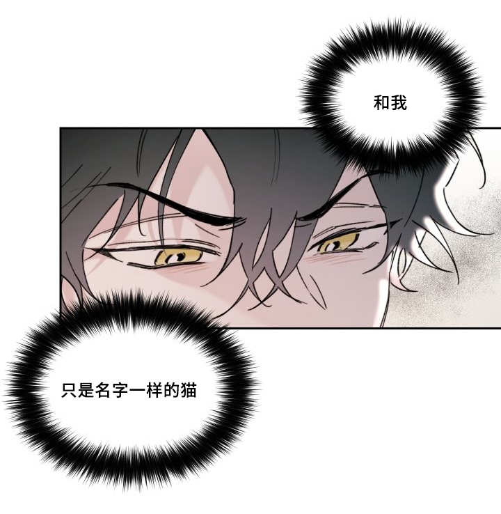 《猫的项圈》漫画最新章节第30章：我能走了吗免费下拉式在线观看章节第【13】张图片