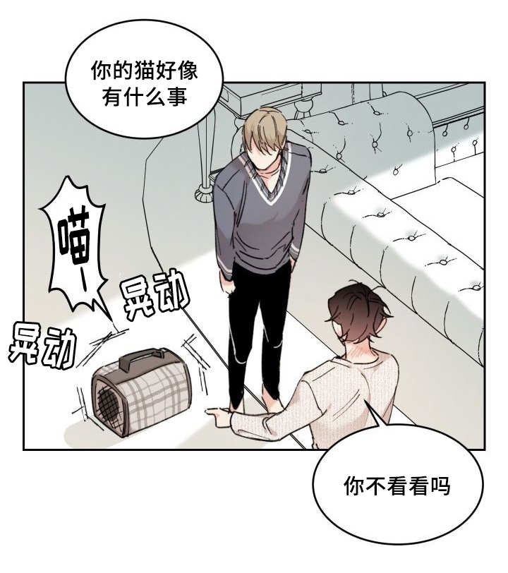 【猫的项圈[耽美]】漫画-（第30章：我能走了吗）章节漫画下拉式图片-31.jpg