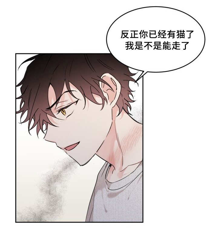 《猫的项圈》漫画最新章节第30章：我能走了吗免费下拉式在线观看章节第【29】张图片