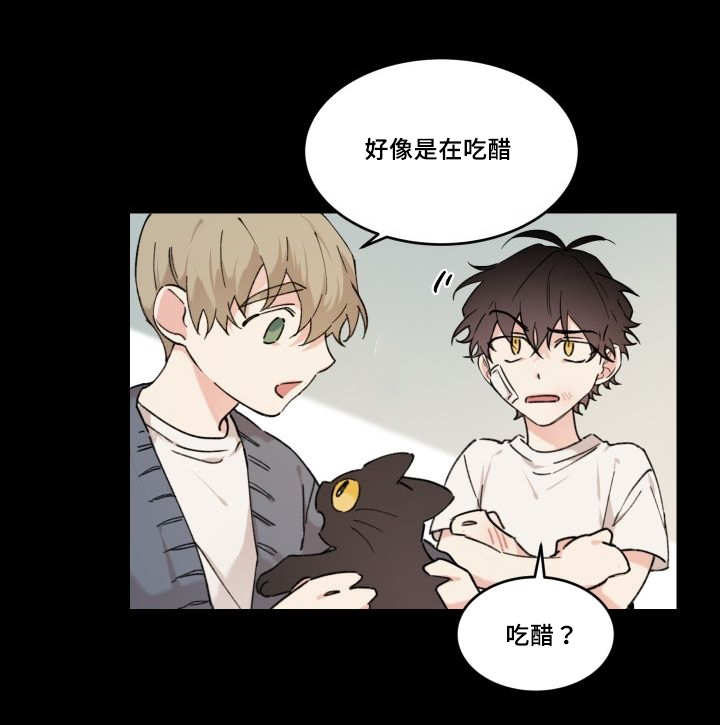 《猫的项圈》漫画最新章节第30章：我能走了吗免费下拉式在线观看章节第【17】张图片