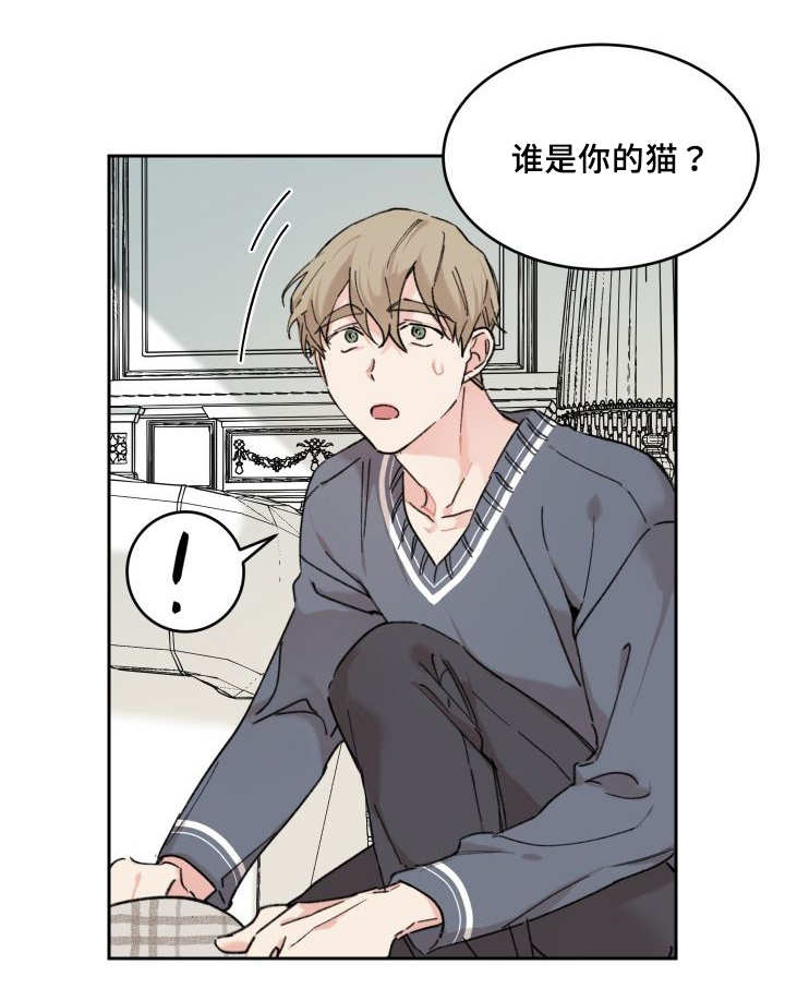 《猫的项圈》漫画最新章节第30章：我能走了吗免费下拉式在线观看章节第【26】张图片