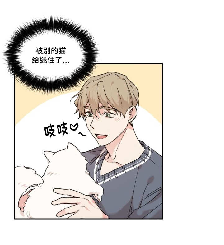 《猫的项圈》漫画最新章节第30章：我能走了吗免费下拉式在线观看章节第【7】张图片