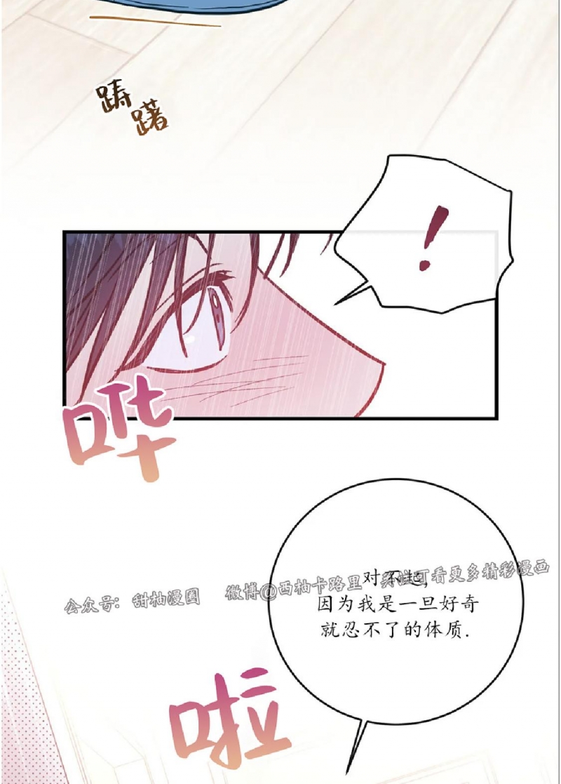 《媚俗爱情/媚俗的爱》漫画最新章节第11话免费下拉式在线观看章节第【19】张图片