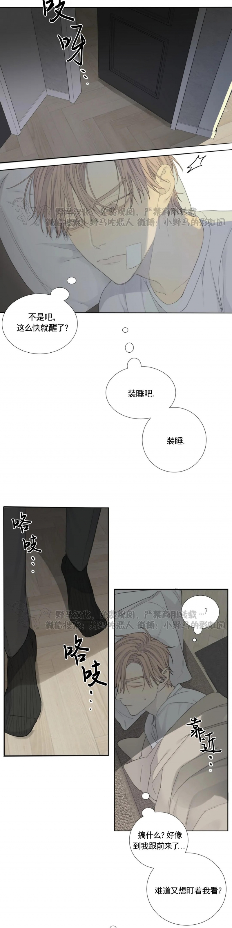 【疯狗/狂犬[耽美]】漫画-（第05话）章节漫画下拉式图片-2.jpg