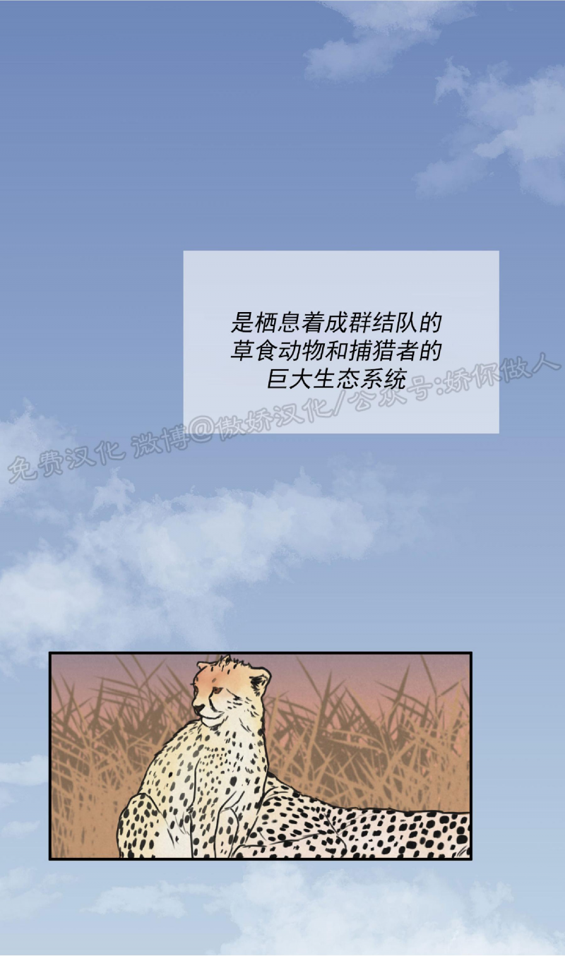 【狩猎游戏[腐漫]】漫画-（第1话）章节漫画下拉式图片-11.jpg