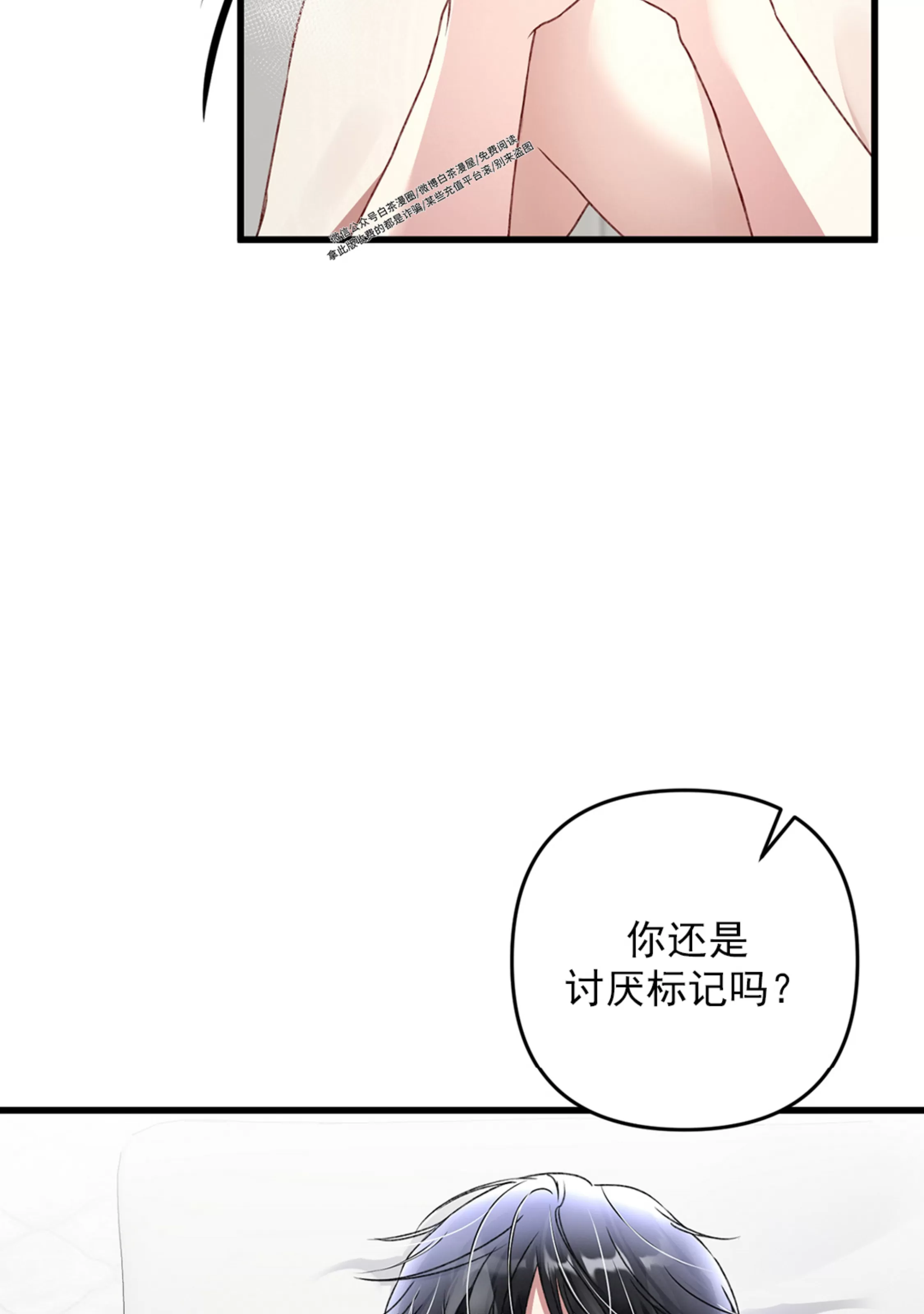 《普通向导的平凡日常》漫画最新章节第43话免费下拉式在线观看章节第【8】张图片