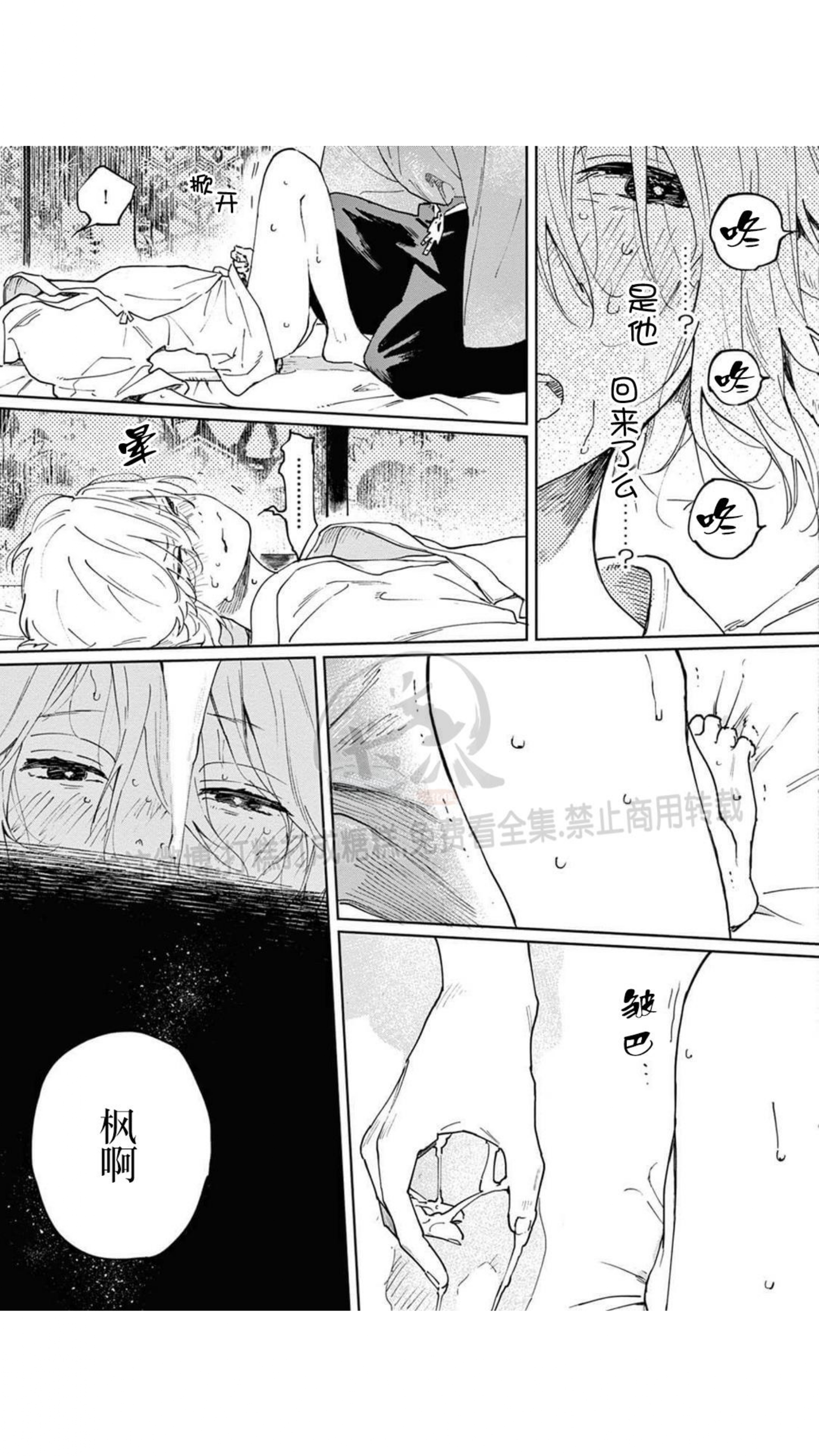 《嫁入狼口/嫁给狼》漫画最新章节第2话免费下拉式在线观看章节第【33】张图片