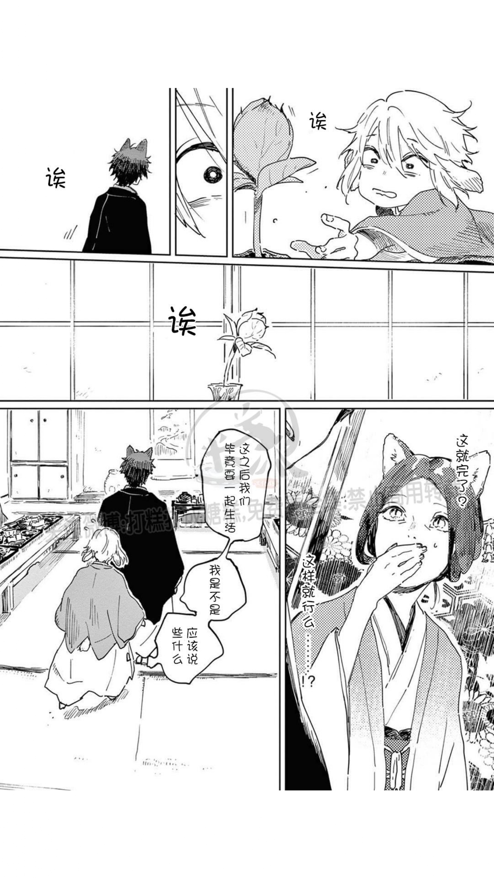 《嫁入狼口/嫁给狼》漫画最新章节第1话免费下拉式在线观看章节第【25】张图片