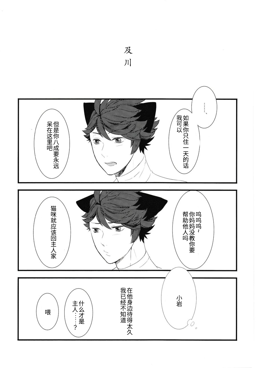 《我想成为小岩的猫(岩及)》漫画最新章节第1话免费下拉式在线观看章节第【19】张图片