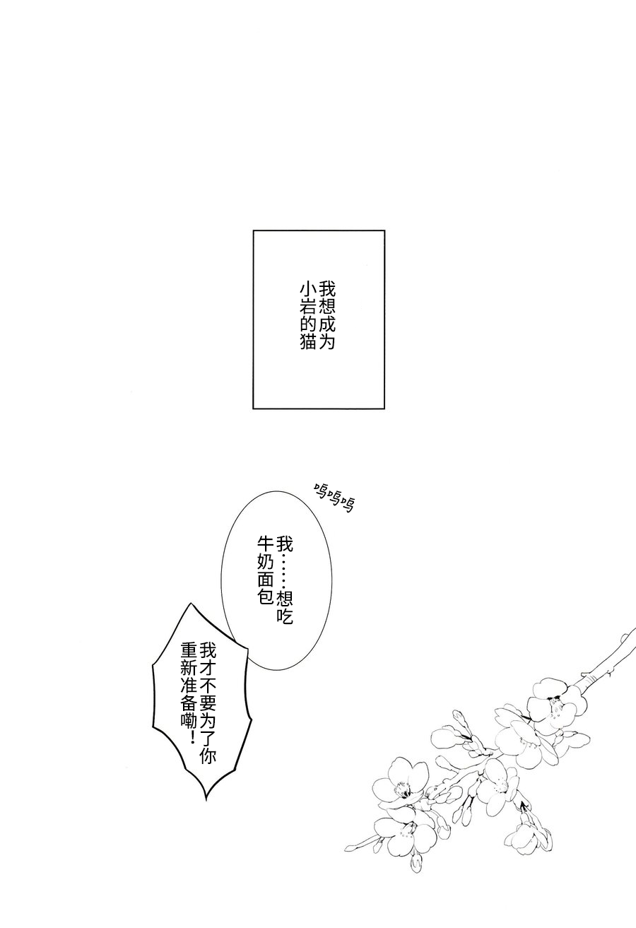 《我想成为小岩的猫(岩及)》漫画最新章节第1话免费下拉式在线观看章节第【33】张图片