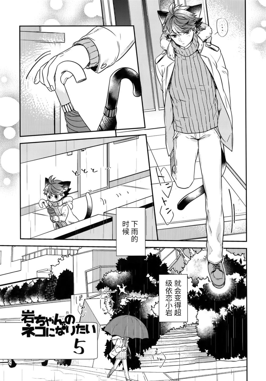 《我想成为小岩的猫(岩及)》漫画最新章节第5话免费下拉式在线观看章节第【5】张图片