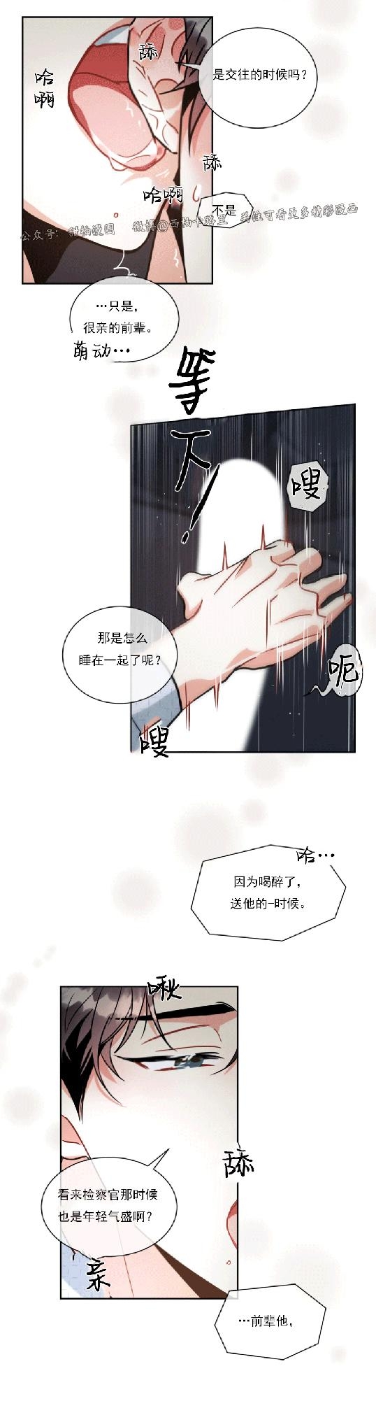 《疯狂之地/疯狂之境》漫画最新章节第16话免费下拉式在线观看章节第【17】张图片