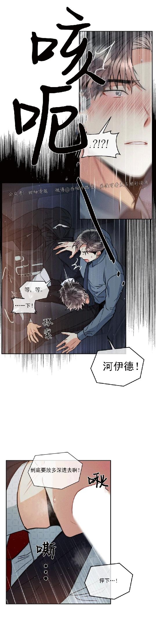 《疯狂之地/疯狂之境》漫画最新章节第16话免费下拉式在线观看章节第【27】张图片