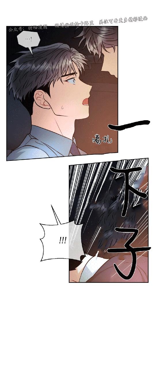 《疯狂之地/疯狂之境》漫画最新章节第16话免费下拉式在线观看章节第【33】张图片