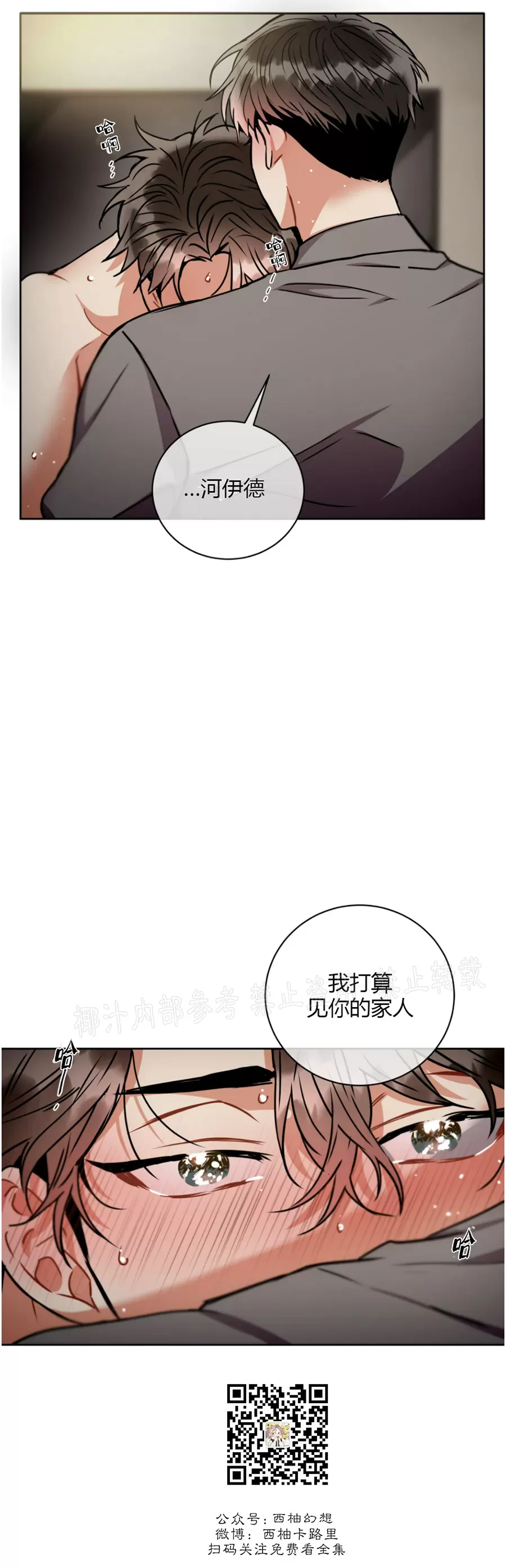 《疯狂之地/疯狂之境》漫画最新章节第37话免费下拉式在线观看章节第【16】张图片