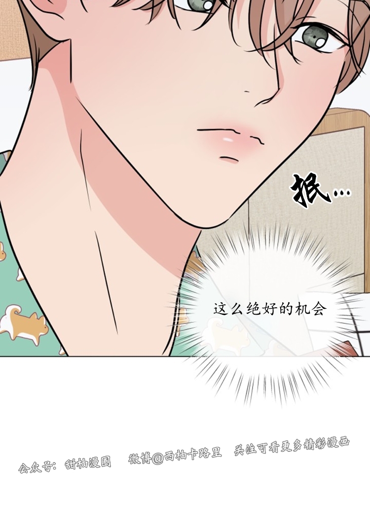 《稀有伴侣/绝世情人》漫画最新章节第05话免费下拉式在线观看章节第【42】张图片