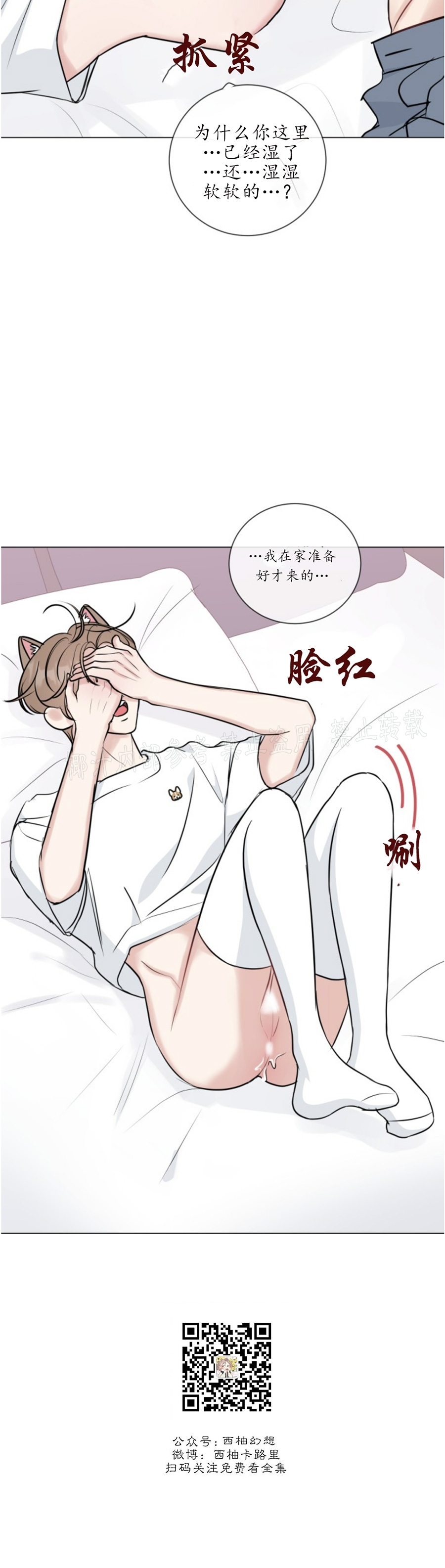 《稀有伴侣/绝世情人》漫画最新章节番外2免费下拉式在线观看章节第【11】张图片