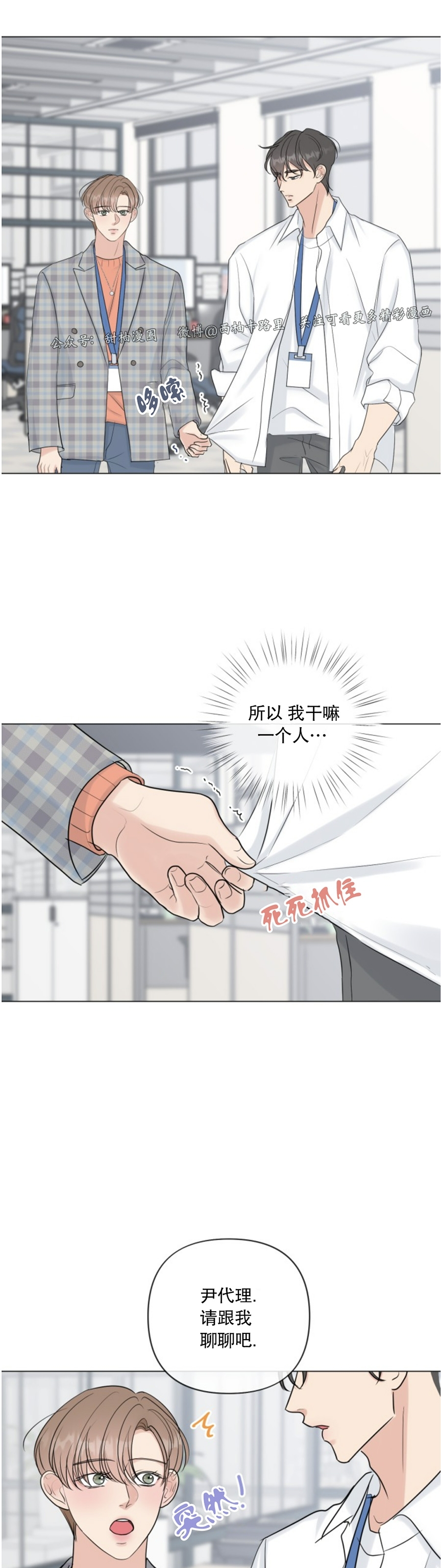 《稀有伴侣/绝世情人》漫画最新章节第22话免费下拉式在线观看章节第【17】张图片