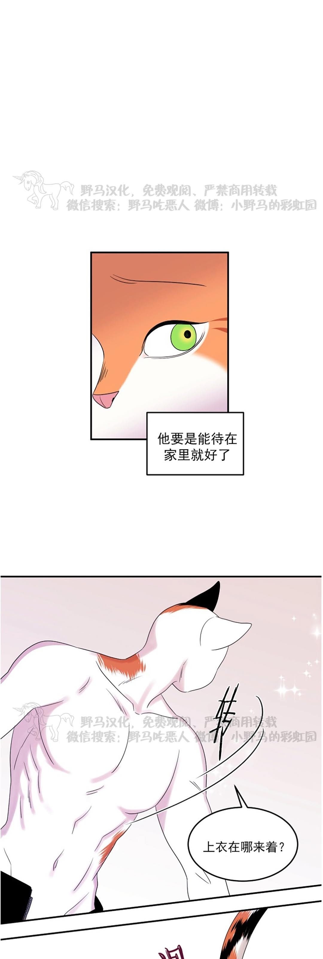 《蓝色计划》漫画最新章节第04话免费下拉式在线观看章节第【19】张图片