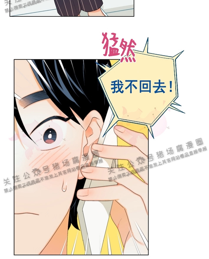 《请养我吧！/请饲养我吧！》漫画最新章节第04话免费下拉式在线观看章节第【18】张图片