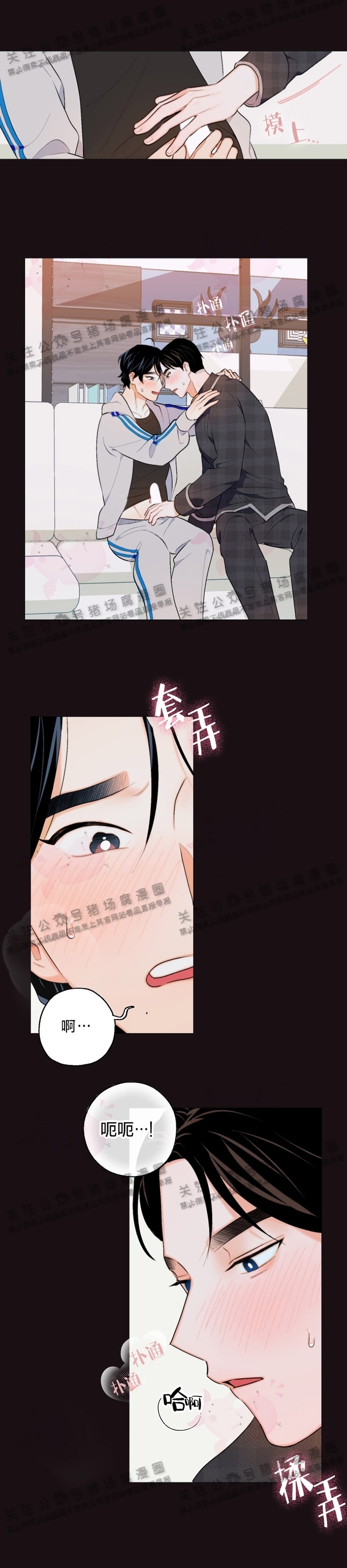 《请养我吧！/请饲养我吧！》漫画最新章节第06话免费下拉式在线观看章节第【5】张图片