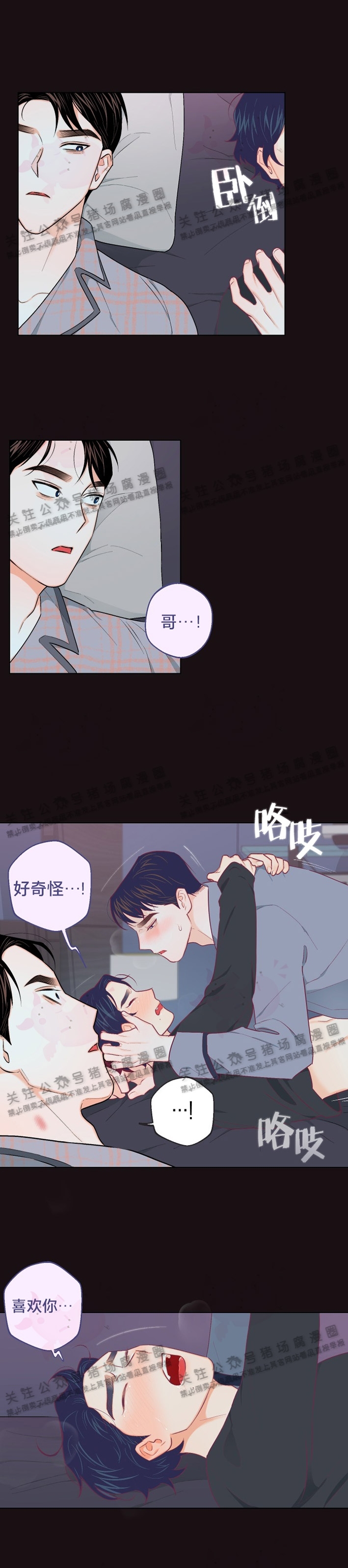 《请养我吧！/请饲养我吧！》漫画最新章节第14话免费下拉式在线观看章节第【4】张图片