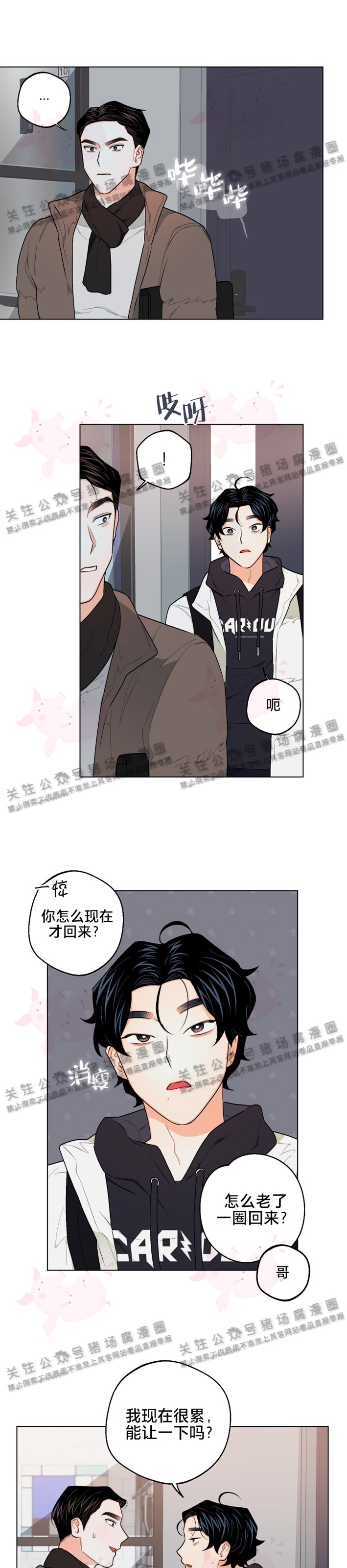 《请养我吧！/请饲养我吧！》漫画最新章节第14话免费下拉式在线观看章节第【12】张图片