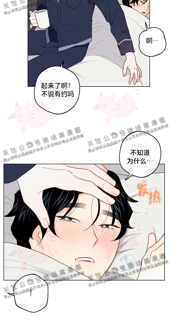 《请养我吧！/请饲养我吧！》漫画最新章节第18话免费下拉式在线观看章节第【12】张图片