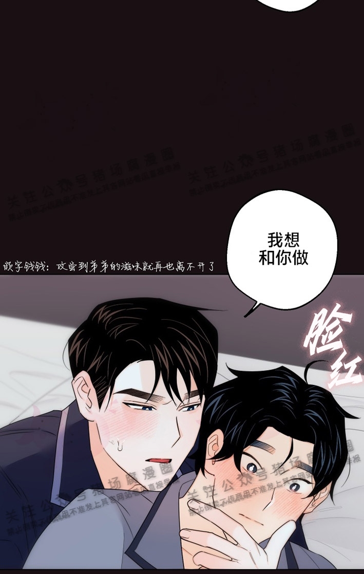 《请养我吧！/请饲养我吧！》漫画最新章节第21话免费下拉式在线观看章节第【26】张图片