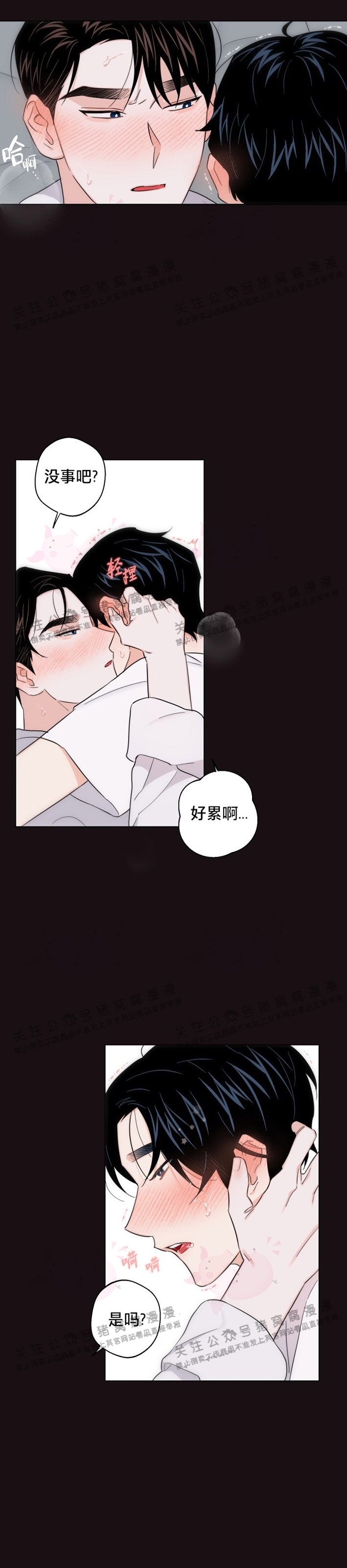 《请养我吧！/请饲养我吧！》漫画最新章节第29话免费下拉式在线观看章节第【24】张图片