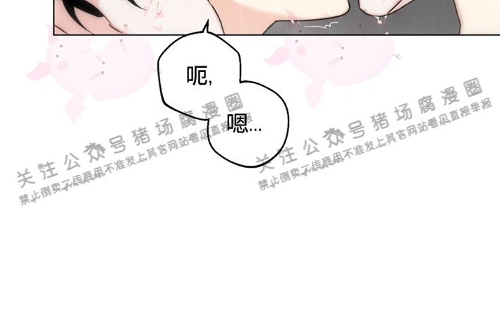 《请养我吧！/请饲养我吧！》漫画最新章节第33话免费下拉式在线观看章节第【21】张图片