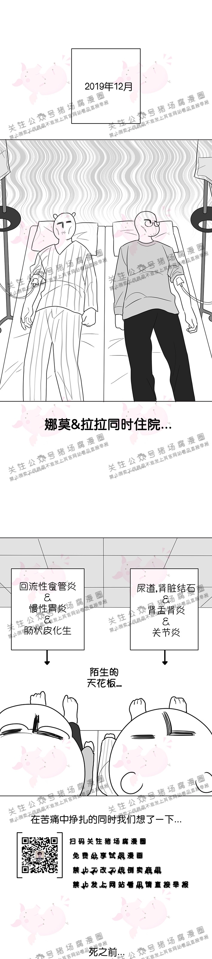 《请养我吧！/请饲养我吧！》漫画最新章节后记免费下拉式在线观看章节第【1】张图片