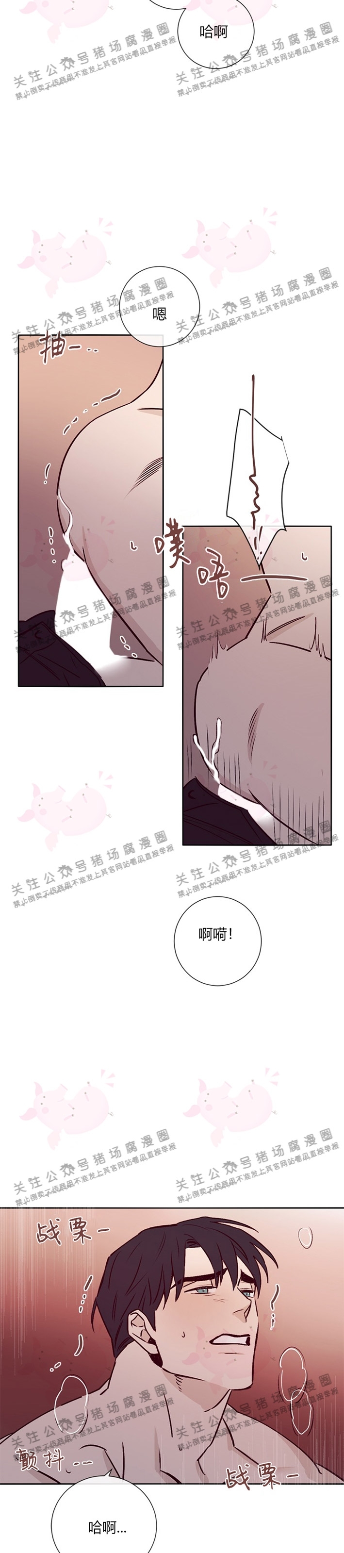 《Marcel》漫画最新章节第17话免费下拉式在线观看章节第【5】张图片