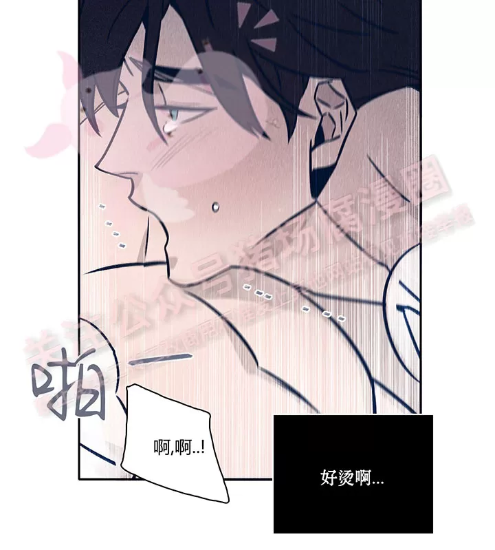 《Marcel》漫画最新章节第31话免费下拉式在线观看章节第【5】张图片