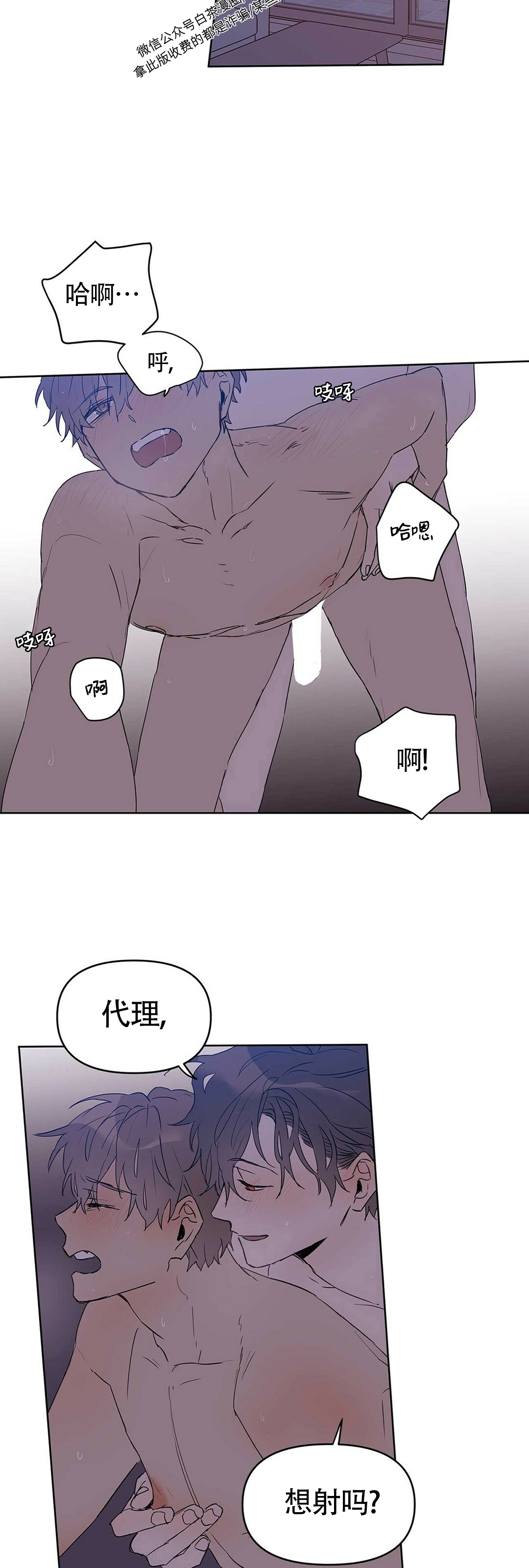 《B级向导/ B级指南》漫画最新章节第22话免费下拉式在线观看章节第【2】张图片