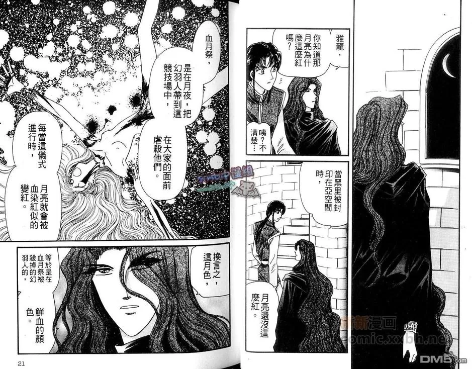 《幻羽》漫画最新章节 第2卷 免费下拉式在线观看章节第【13】张图片