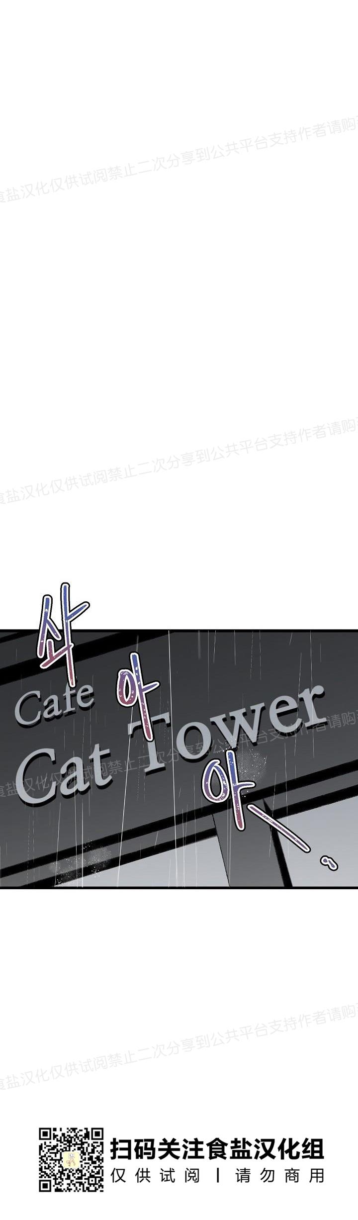 《猫咪警报》漫画最新章节第08话免费下拉式在线观看章节第【17】张图片