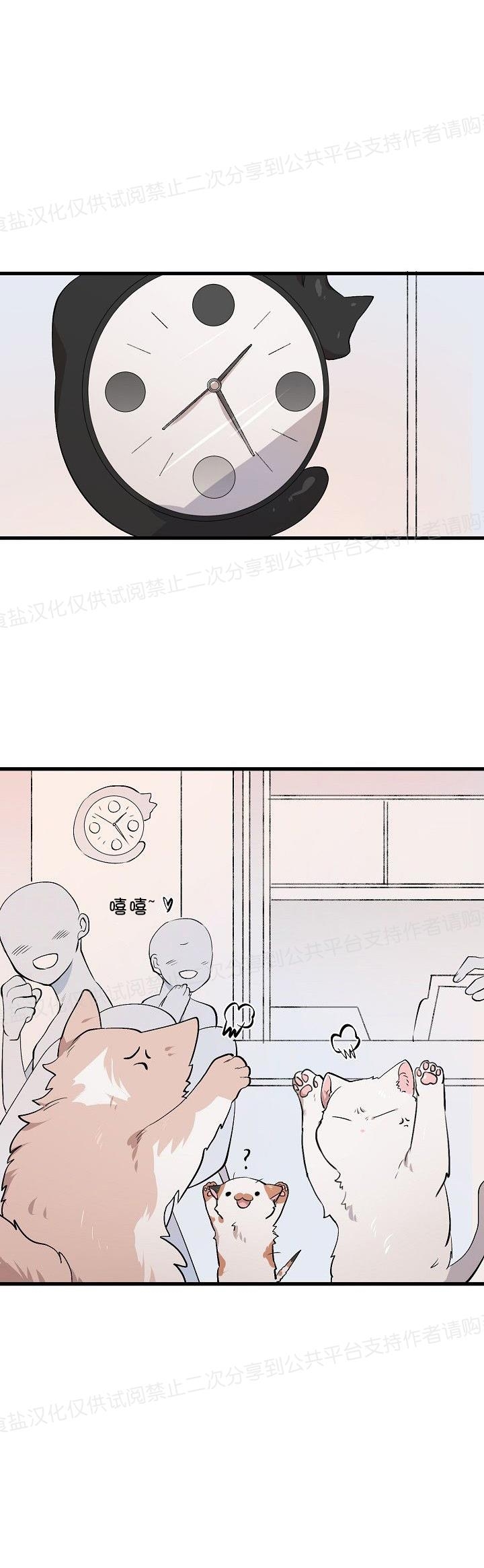 《猫咪警报》漫画最新章节第08话免费下拉式在线观看章节第【18】张图片