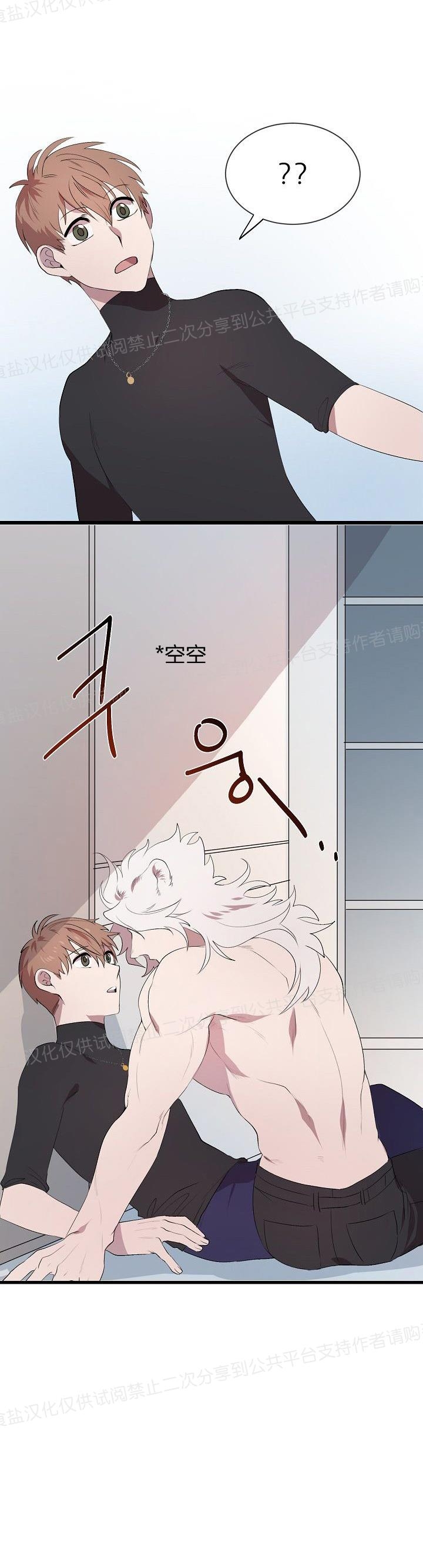 《猫咪警报》漫画最新章节第12话免费下拉式在线观看章节第【19】张图片