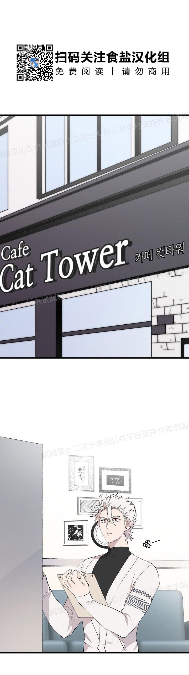 《猫咪警报》漫画最新章节第17话免费下拉式在线观看章节第【16】张图片