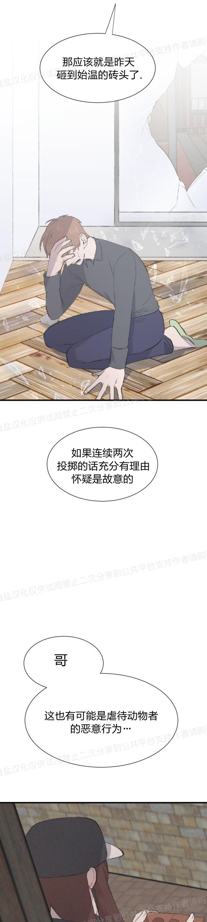 《猫咪警报》漫画最新章节第19话免费下拉式在线观看章节第【14】张图片