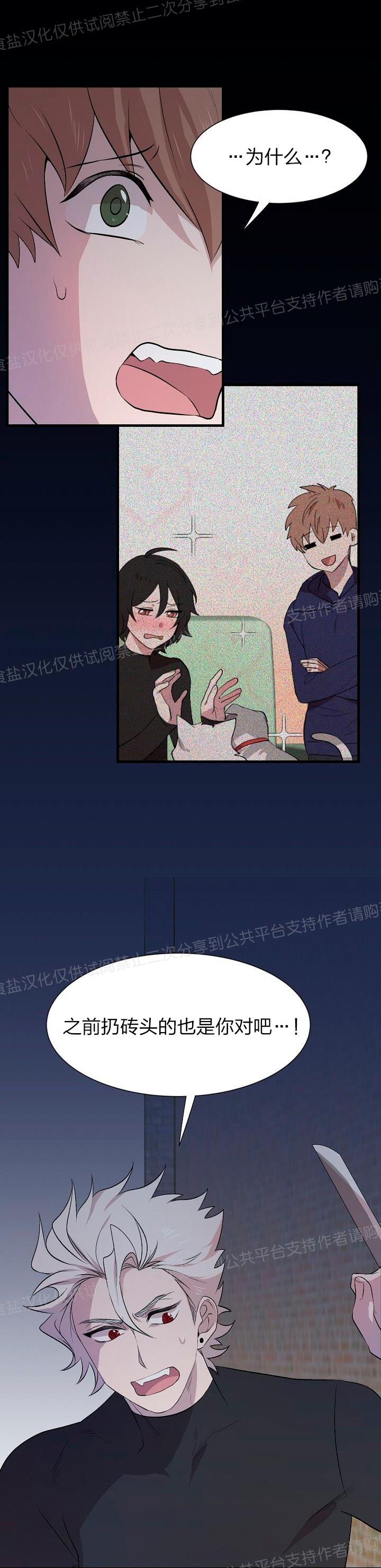 《猫咪警报》漫画最新章节第21话免费下拉式在线观看章节第【4】张图片