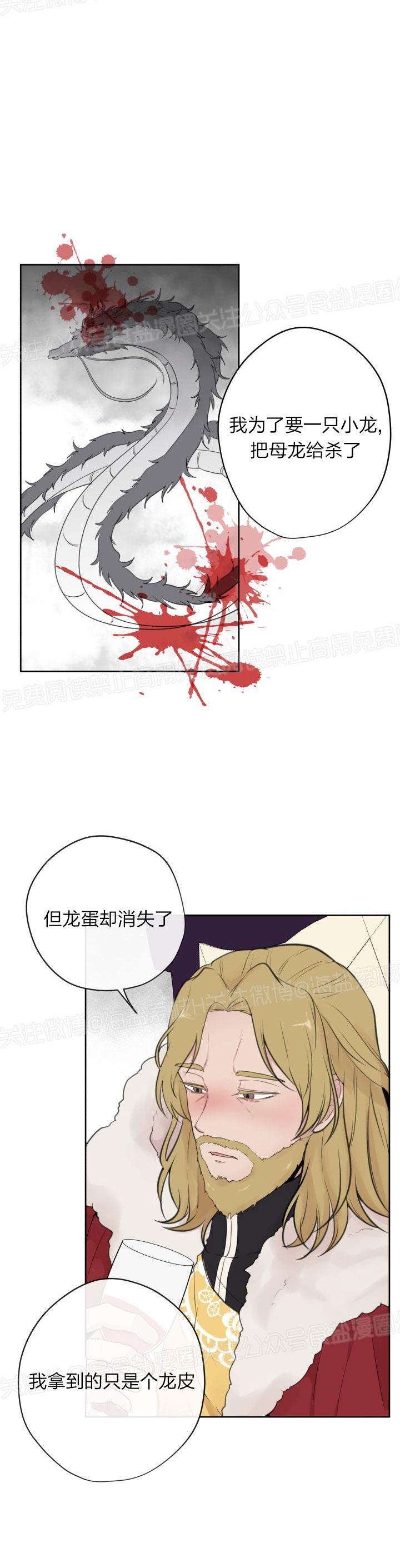 【龙皇子[耽美]】漫画-（第01话）章节漫画下拉式图片-29.jpg