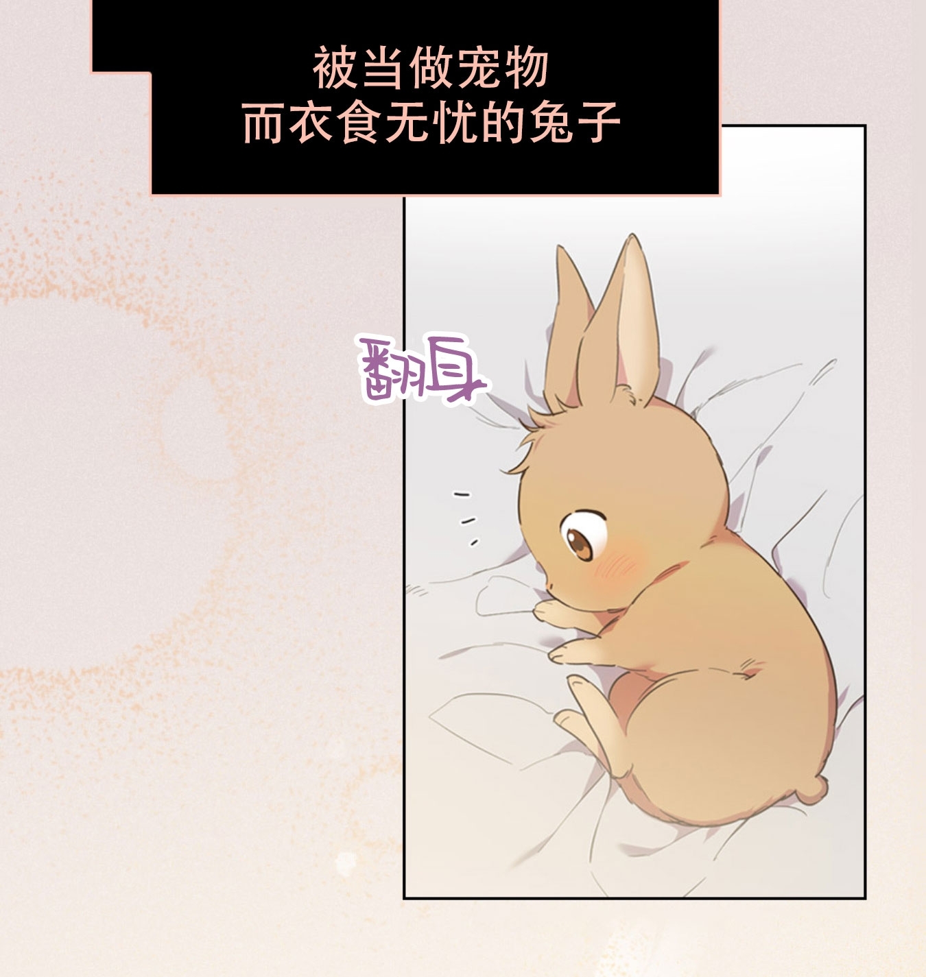 【哈比比的兔子们[耽美]】漫画-（预告）章节漫画下拉式图片-7.jpg