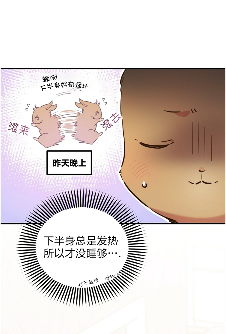 《哈比比的兔子们》漫画最新章节第01话免费下拉式在线观看章节第【18】张图片