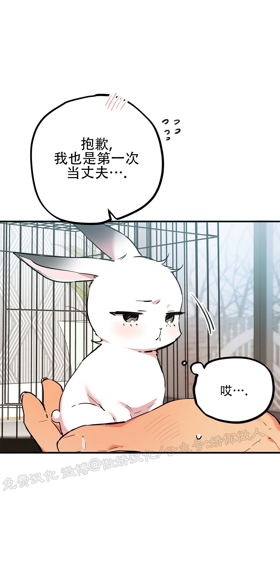 【哈比比的兔子们[耽美]】漫画-（第03话）章节漫画下拉式图片-9.jpg