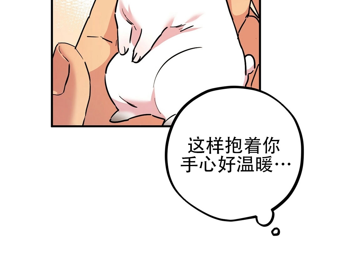 《哈比比的兔子们》漫画最新章节第03话免费下拉式在线观看章节第【11】张图片