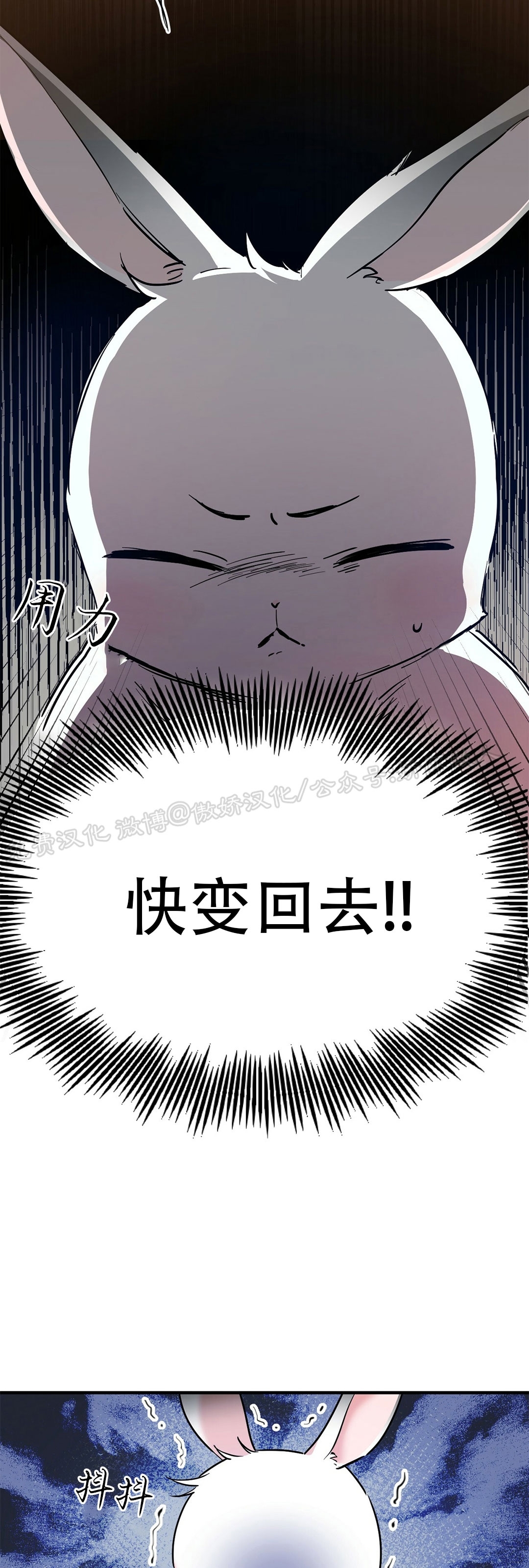 《哈比比的兔子们》漫画最新章节第03话免费下拉式在线观看章节第【30】张图片