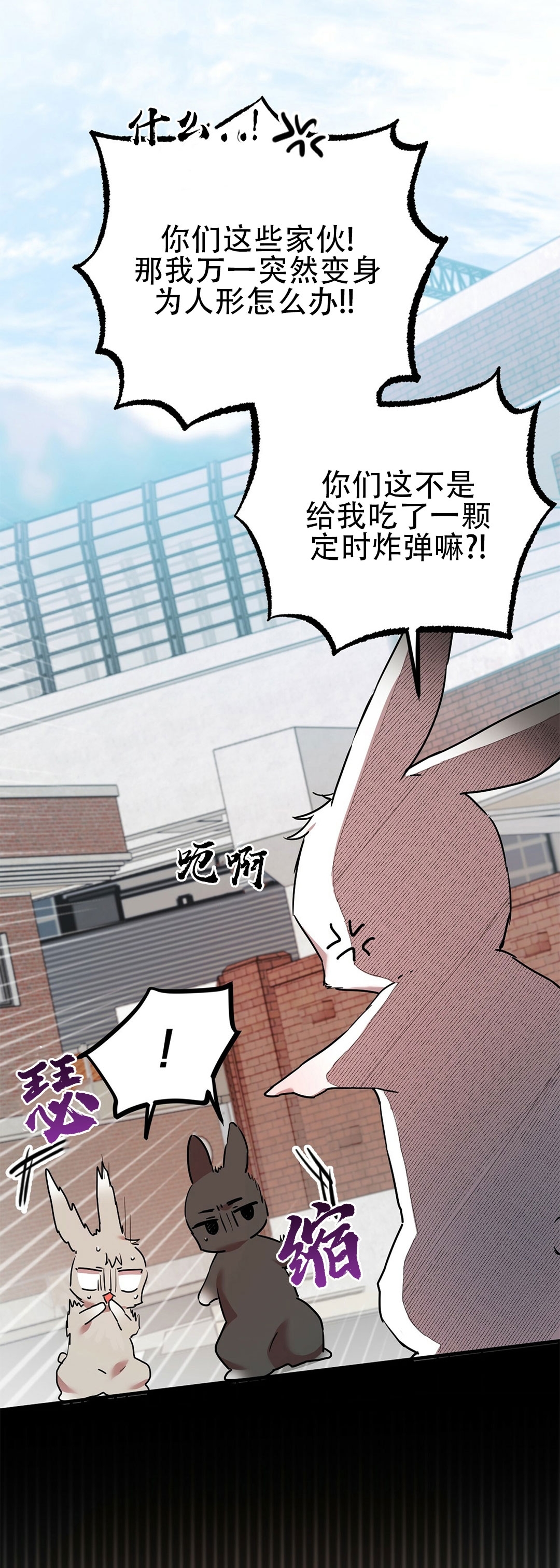 【哈比比的兔子们[耽美]】漫画-（第03话）章节漫画下拉式图片-71.jpg